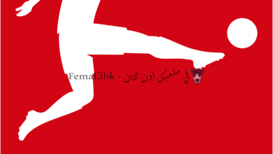 صورة تعرف على مواعيد مباريات الدوري الألماني بعد استئناف الموسم