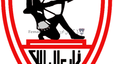 صورة الزمالك يتقدم ببلاغ إلى المجلس الأعلى للإعلام بعد الإساءة له ولمسئوليه