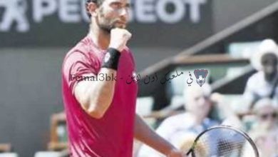 صورة اتحاد التنس يقرر تاجيل المسابقه الي 3سبتمبر